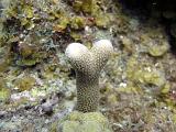 2011-09-14 00-38-11 Steven
